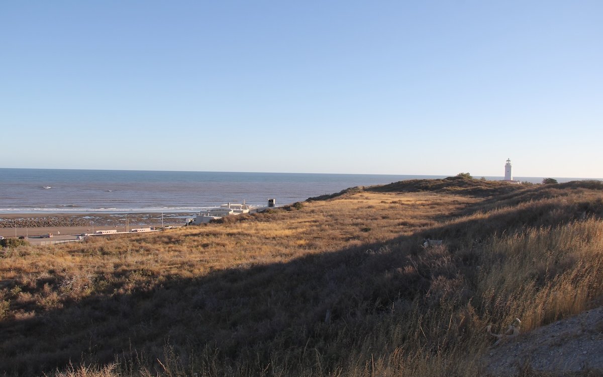Küstenlilie von E. Cóndor oberhalb der Klippen mit der Brutkolonie der Felsensittiche. 