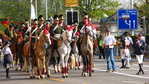 SechseläutenPferd