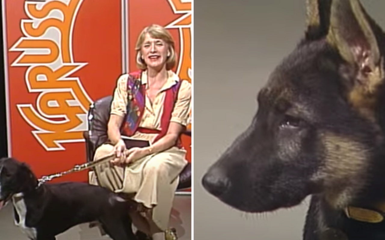 Heidi Abel war 30 Jahre lang das Gesicht des Schweizer Fernsehen und versuchte in verschiedenen Sendungen Tieren ein neues Zuhause zu vermitteln. So auch in der Kultsendung «Karussell».