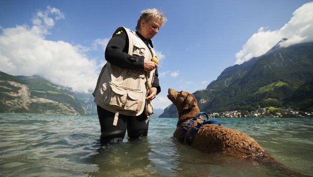 Wassersporthunde trainieren in Flüelen UR