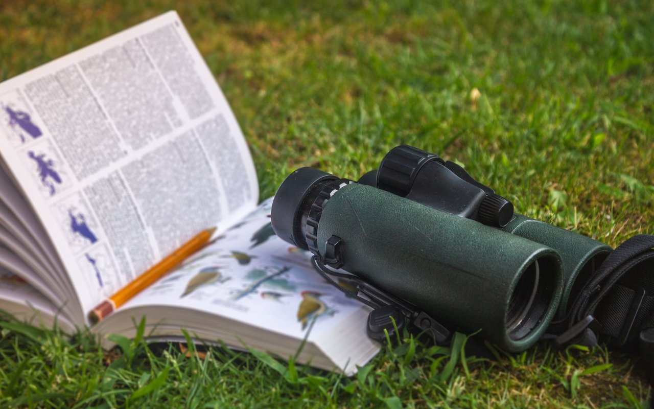 Auch in der Schweiz wird fleissig geforscht. Vor allem die "Stunde der Gartenvögel", in der alle beobachteten Vogelarten im Garten festgehalten werden, stösst auf reges Interesse.