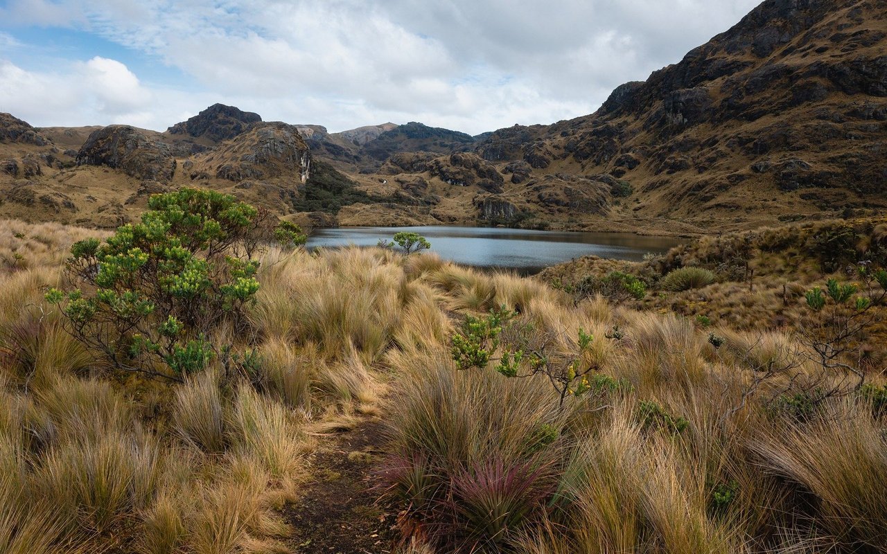 In Ecuador gelten nicht nur Personen und Organisationen als Rechtsperson, sondern auch die Natur.