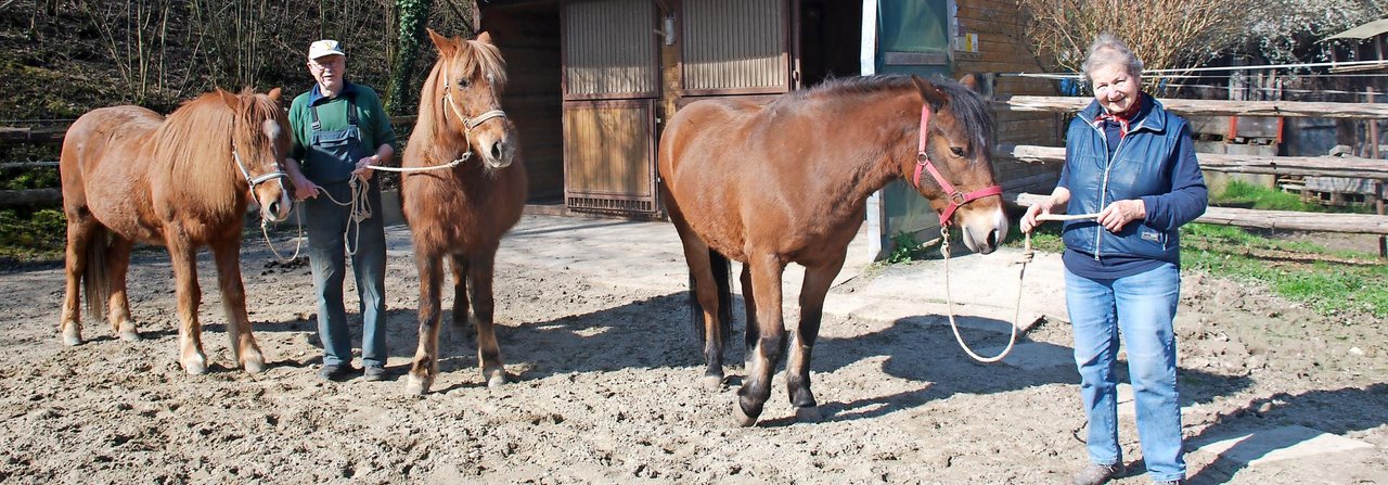 Margrit und Hermann Imhof mit ihren Mazedonierinnen Osmania, Olivia und Irinia (v .l.) auf der «Rottmühlen-Ranch».