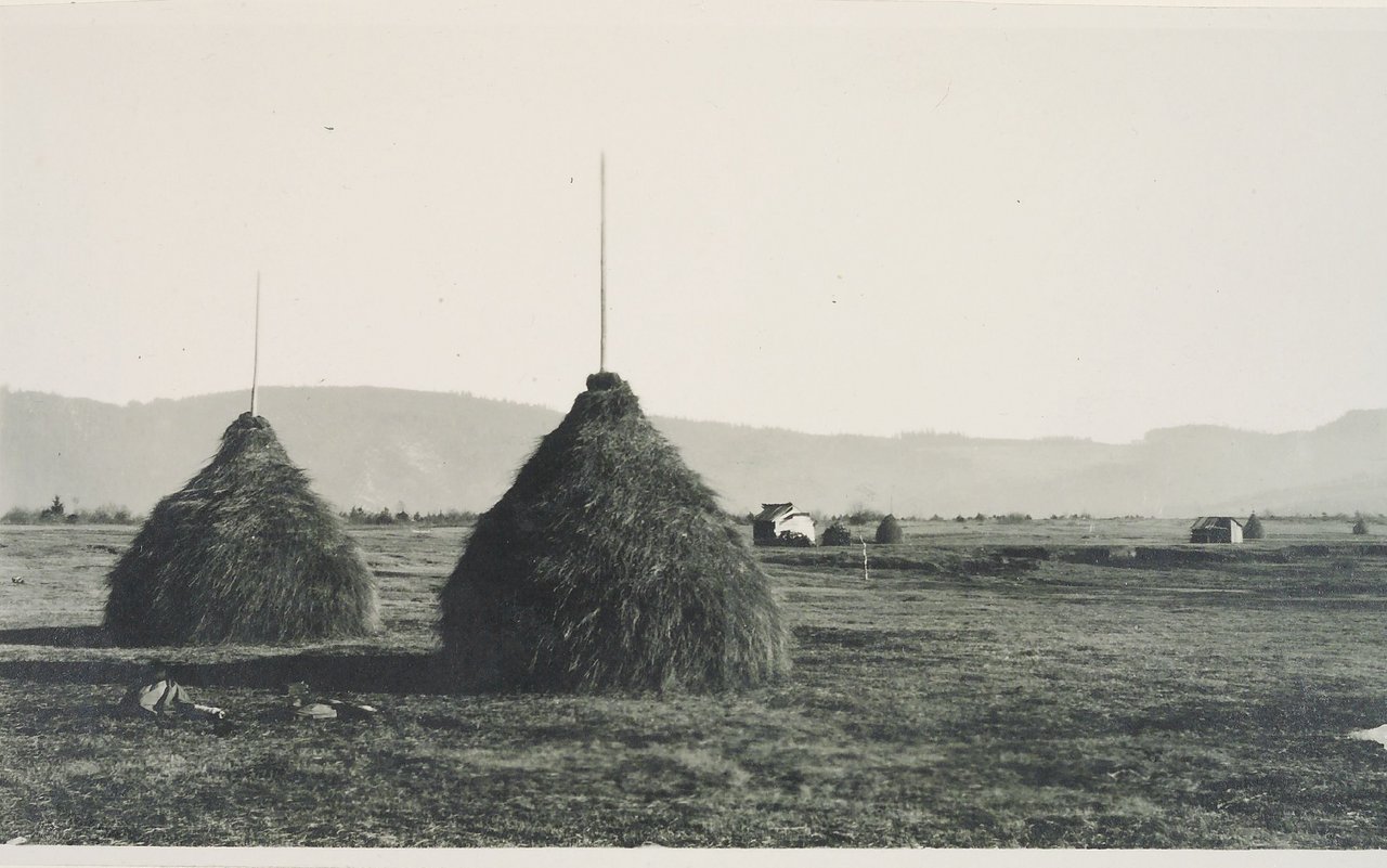 Tristen im Einsiedler Moor (zwischen 1901 und 1908)