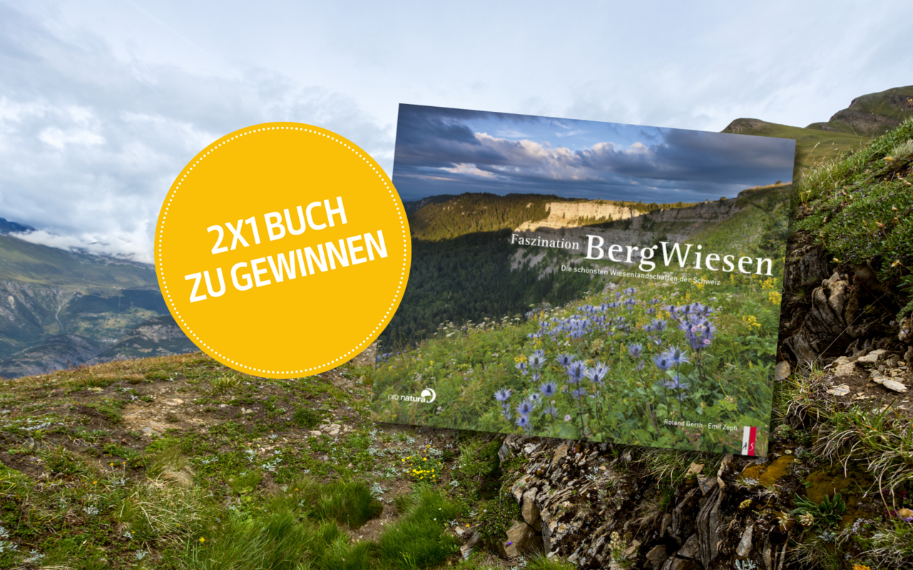 Die TierWelt verlost zwei Exemplare des Buches Faszination Bergwiesen, die schönsten Wiesenlandschaften der Schweiz». 