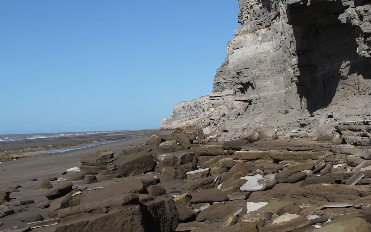 Bei Ebbe lässt es sich gut vor den Brutfelsen vorbeispazieren. 
