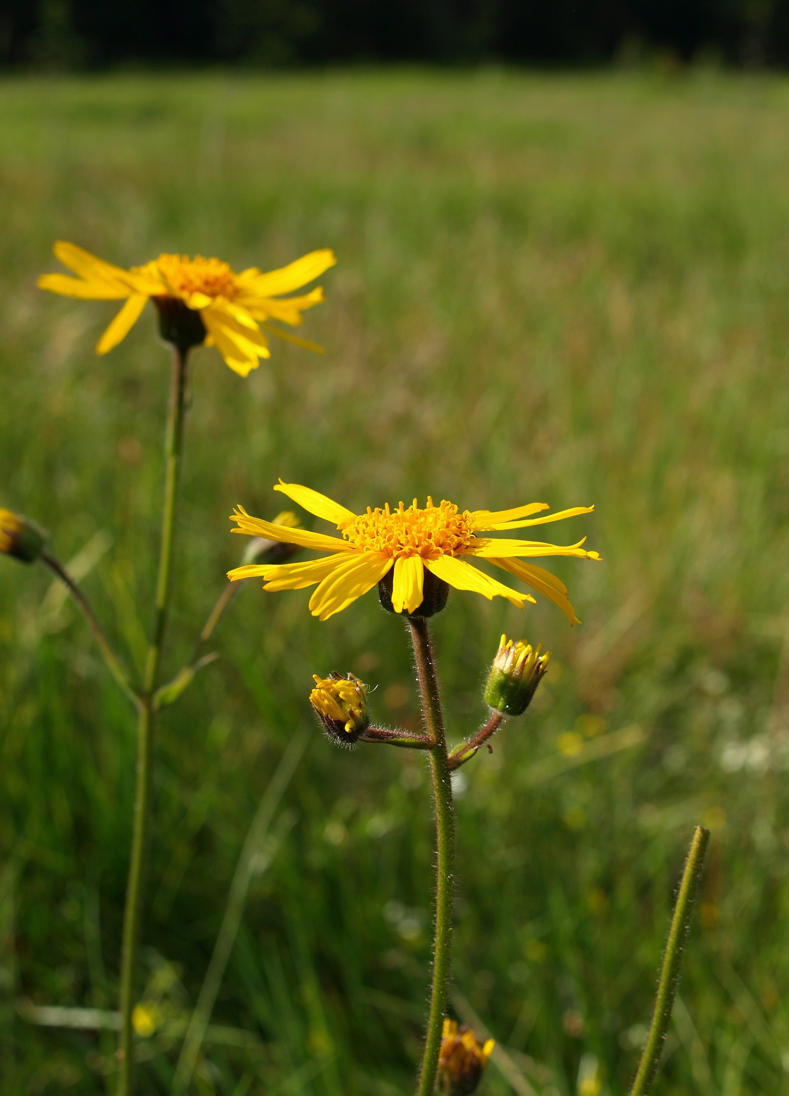 Natur & Umwelt