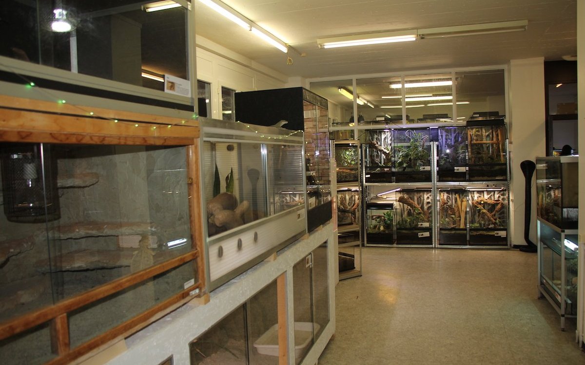 Im Refuge Reptile in Le Locle befinden sich zahlreiche Terrarien. 