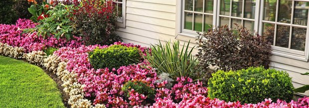 Seitenbeet am Haus mit vielen Blumen