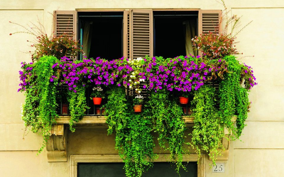 Jedem Stadtbewohner und jeder Stadtbewohnerin ist es möglich, einen Balkon mit vielen Pflanzen zu gestalten. 