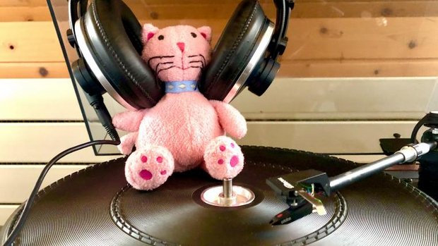 Tierwelt-Spotify-Liste 12-2021