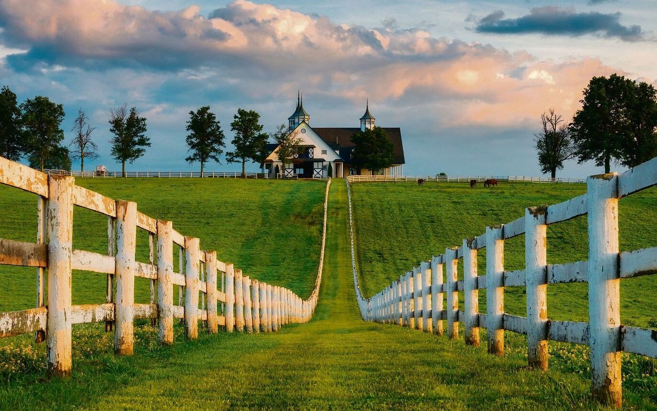 Weisse Zäune sind das Wahrzeichen der Pferdeschmiede in Kentucky