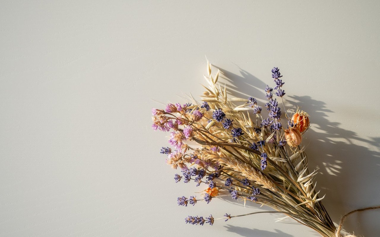 Getrocknete Blumen bereiten lange Freude.