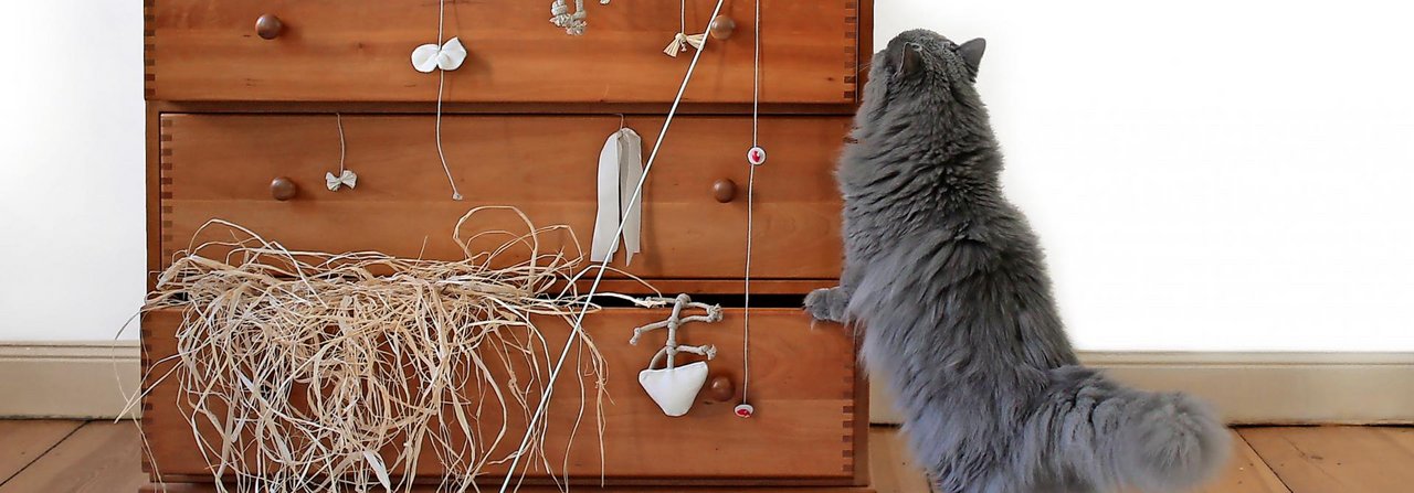 Ökospielzeug besteht aus Materialien, mit denen Katzen bedenkenlos herumtollen können.