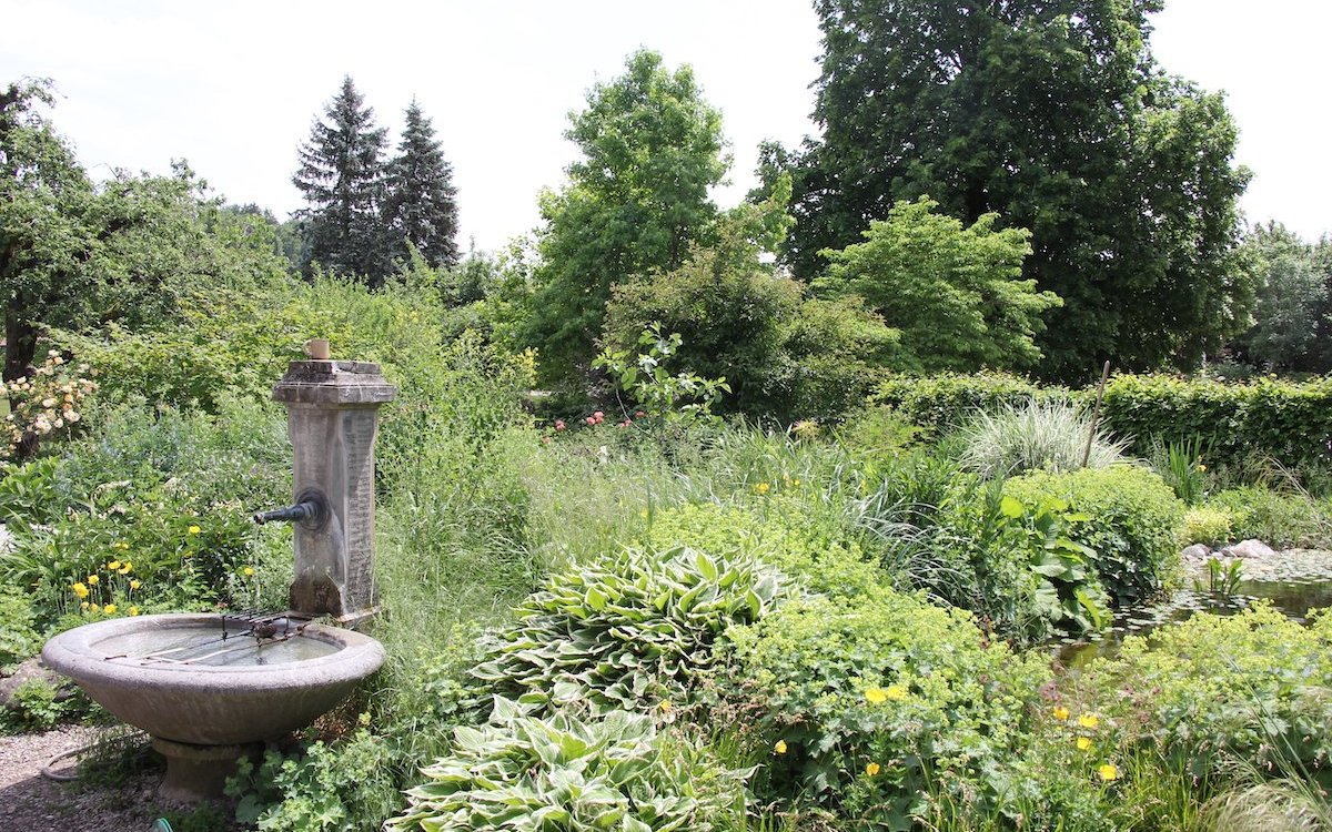 Im Garten von Rosmarie Mosimann sprudelt auch Wasser in einen Brunnen und Seerosen entfalten sich in einem dahinter liegenden Teich. 