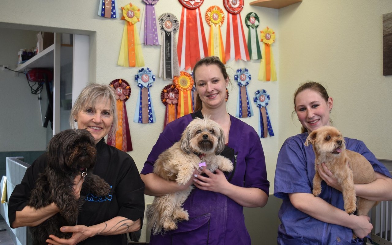 Claudia Dubacher, Amanda Schmid und Shayen Hassler vom Hundesalon Panda mit ihren vierbeinigen Kunden.