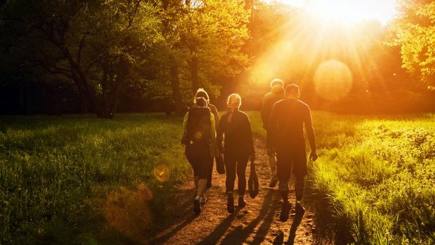 Gruppe von Freunden im Wald