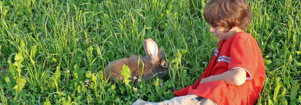 Kinder lernen Verantwortung zu übernehmen und zu respektieren, dass Kaninchen keine Kuscheltiere sind.