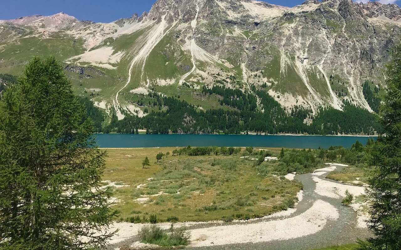 Nördlich des Silsersees liegt die Aua da Fedoz, eine einzigartige Auenlandschaft.