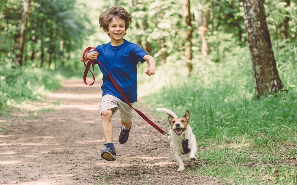 Erfahren Sie, welche Tiere sich ideal für Familienleben und Verantwortung eignen.