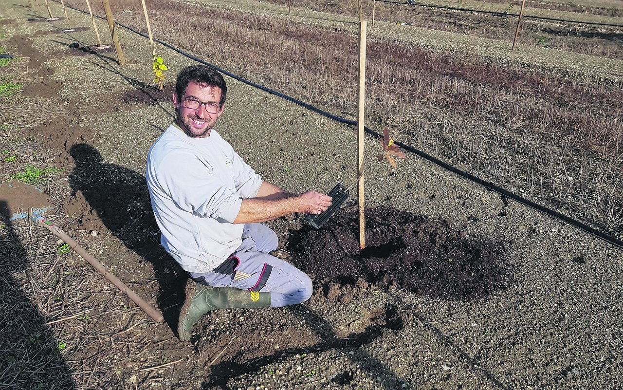 Erstmals versucht sich der Landwirt an seinem Lieblingstrüffel, dem Perigord.