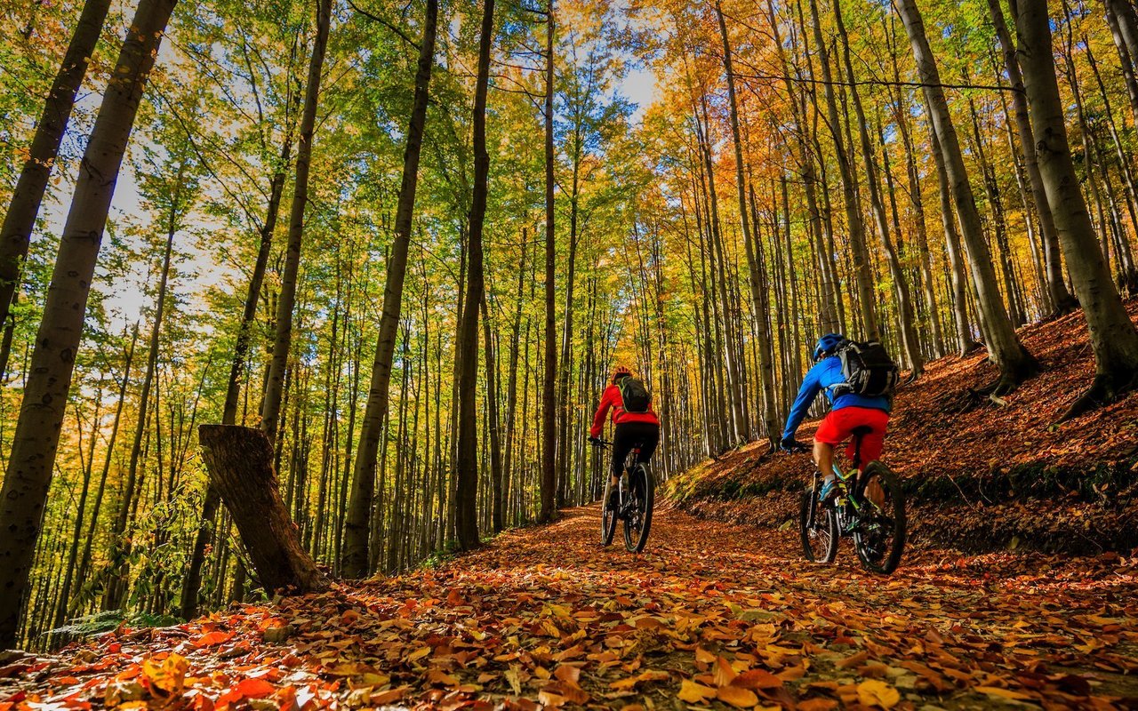 Die herbstlichen Wälder, insbesondere im Tessin, laden ein zum Mountainbiken. 
