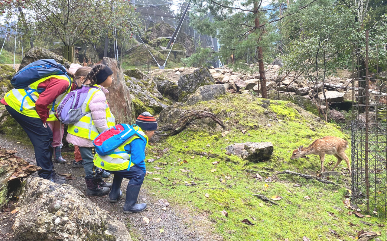 Mit dem «Tierpark-Kindergarten Lauerz» gibt es den ersten öffentlichen Kindergarten in einer zoologischen Einrichtung.