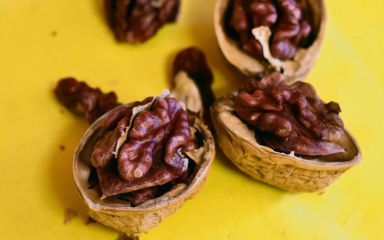 Seine Spezialität trägt seinen Namen: Rote Gublernuss