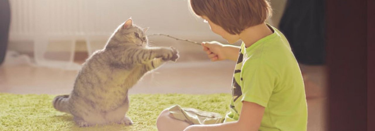 Gemeinsames Spielen intensiviert den Kontakt zwischen Mensch und Tier.