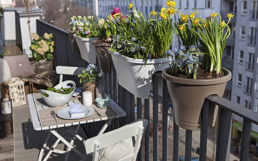 Auch auf einem Stadtbalkon kann ein Nahrungsangebot für Wildbienen geschaffen werden. 