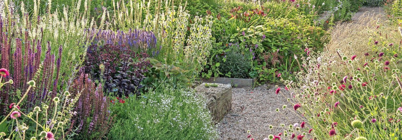 Den Garten Regie führen lassen, aussäen und abwarten, ob und wo etwas wächst.