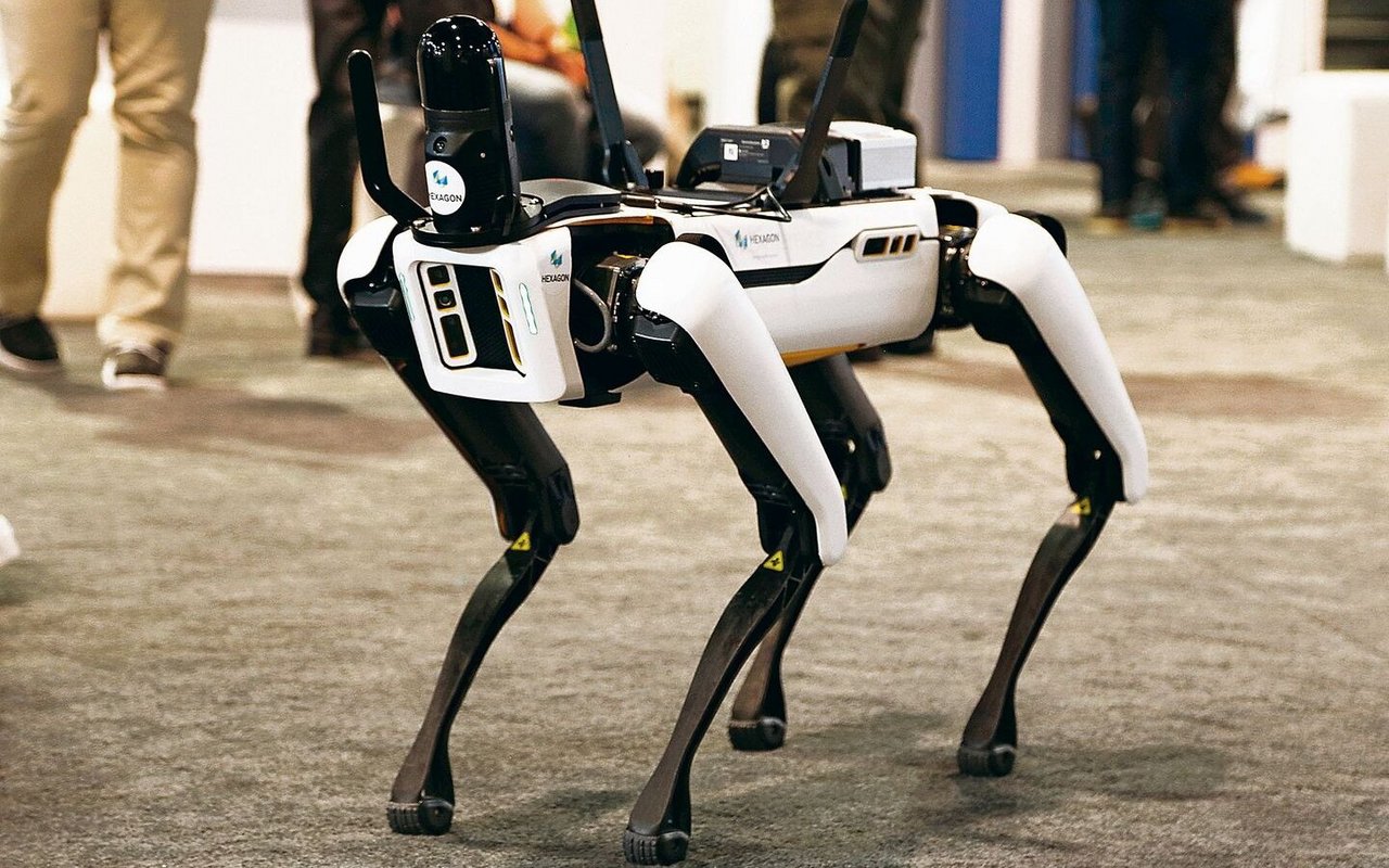 «Spot», der wohl berühmteste Roboter-Hund.