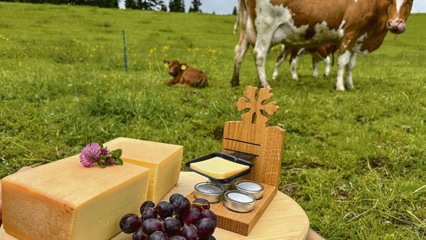 Nach MuKa bleiben Kälber mindestens vier Monate bei ihren Müttern.