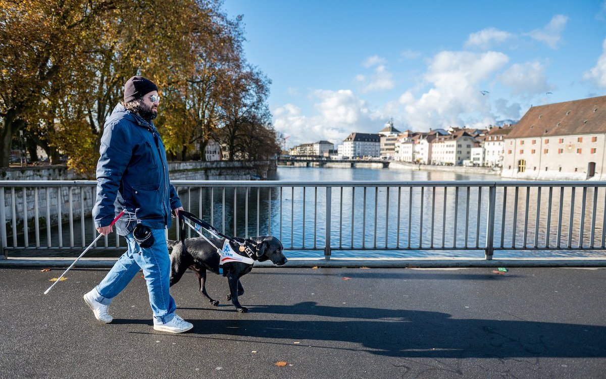 Blindenhunde durchlaufen eine Sozialisation und eine anspruchsvolle Ausbildung. 