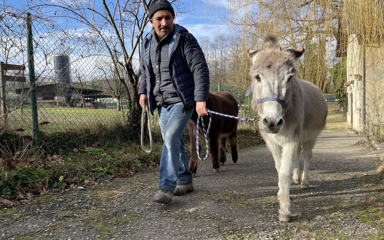 Der Esel Petit-Prince war eines der ersten Tiere, die auf dem Ethikhof eine zweite Heimat fanden.