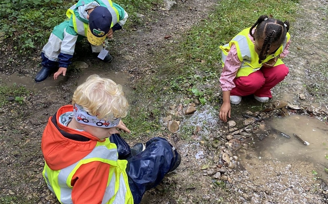 Der Kindergarten ist ein Kooperationsprojekt des Natur- und Tierparks Goldau, der Schule Lauerz und der Pädagogischen Hochschule Schwyz (PHSZ).