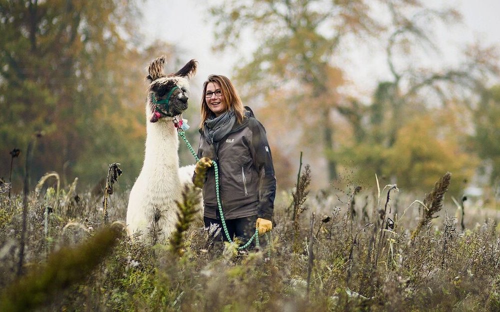 Tanja Burkolter und ihr Lebenspartner leisten jedes Jahr über 600 Einsätze mit den 23 Lamas. 