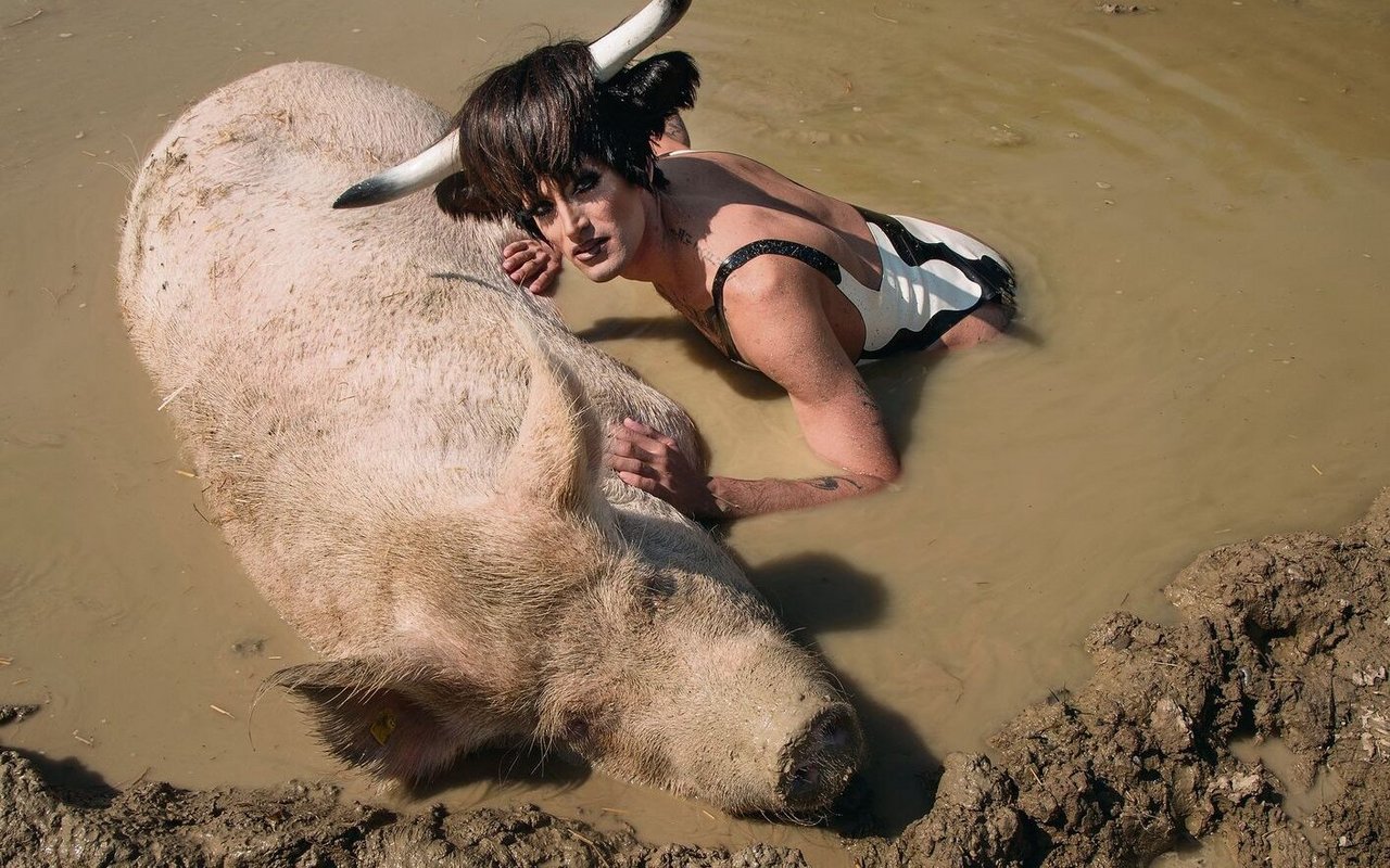 Auf Tuchfühlung: Soya fühlt sich beim Schlammbad mit dem Schwein Bo sauwohl.