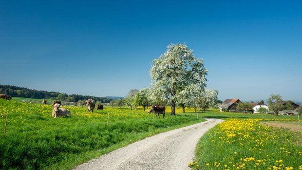 Landwirtschaft im Thurgau