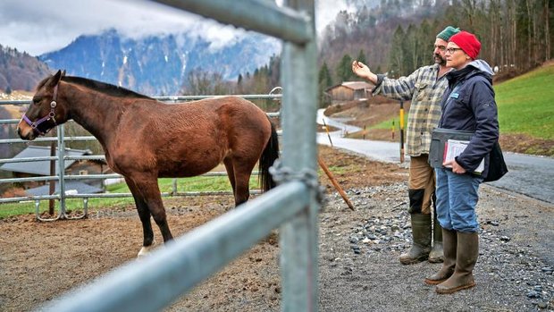 Tierschutzkontrolleurin mit Bauer und Pferd