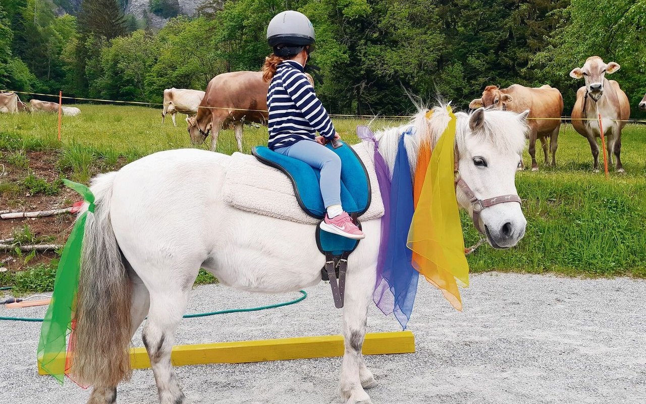 Spielerisch lernen die Kinder der Spielgruppe, wie sie mit den Ponys umgehen müssen.