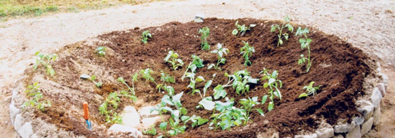 Ein Kraterbeet funktioniert als «Wärmefalle» in einem schattigen Garten.