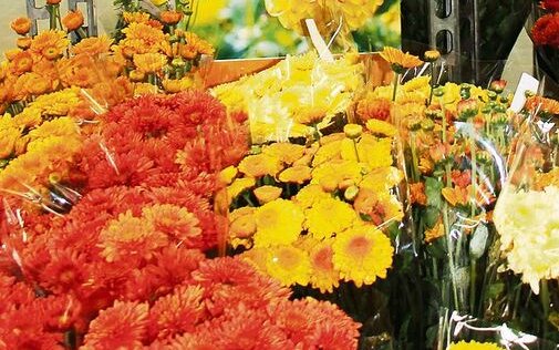 In der Blumenbörse Bern kauft der floristische und gärtnerische Fachhandel ein. 