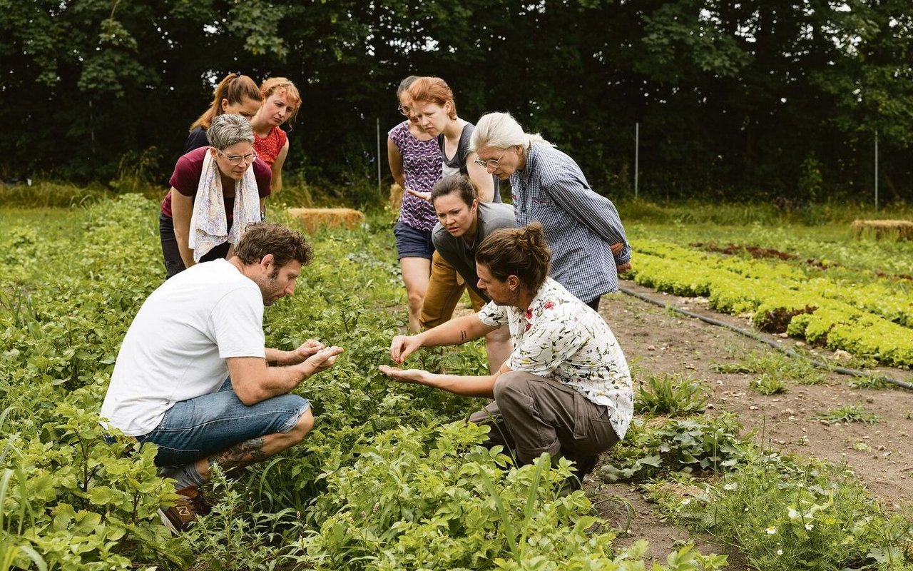 Mikrofarming sorgt in der ersten Tiny Farm der Schweiz für eine grosse Vielfalt an Gemüse.