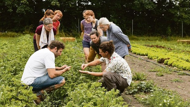Mikrofarming sorgt in der ersten Tiny Farm der Schweiz für eine grosse Vielfalt an Gemüse.