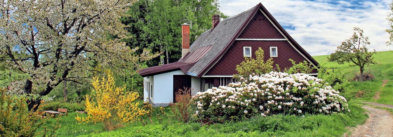 Nach dem Hauskauf bleibt oft wenig Budget für den Garten übrig.