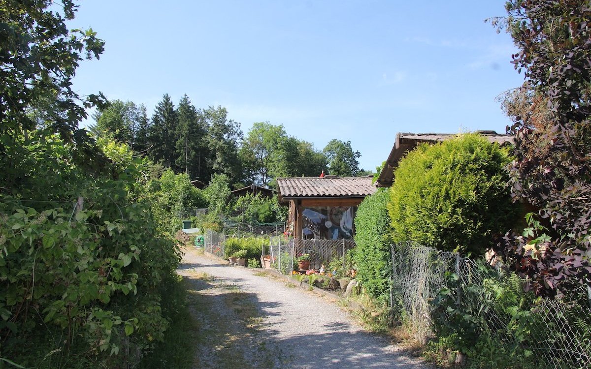 In der Kleintieranlage im Chapf in Volketswil ZH können Leute Tiere halten, die keinen Garten haben. 