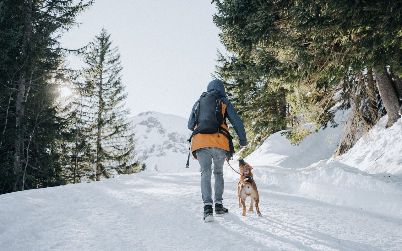 Man muss wissen, wie viel Kondition der Hund hat, dass man nicht zu viel von ihm verlangt. 