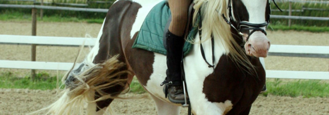 Schlangenlinien reiten kann helfen, das Pferd gerade zu richten.