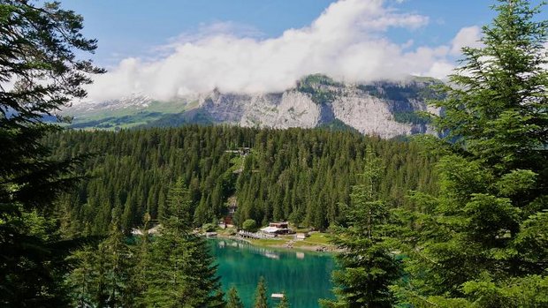 Wald beim Caumasee